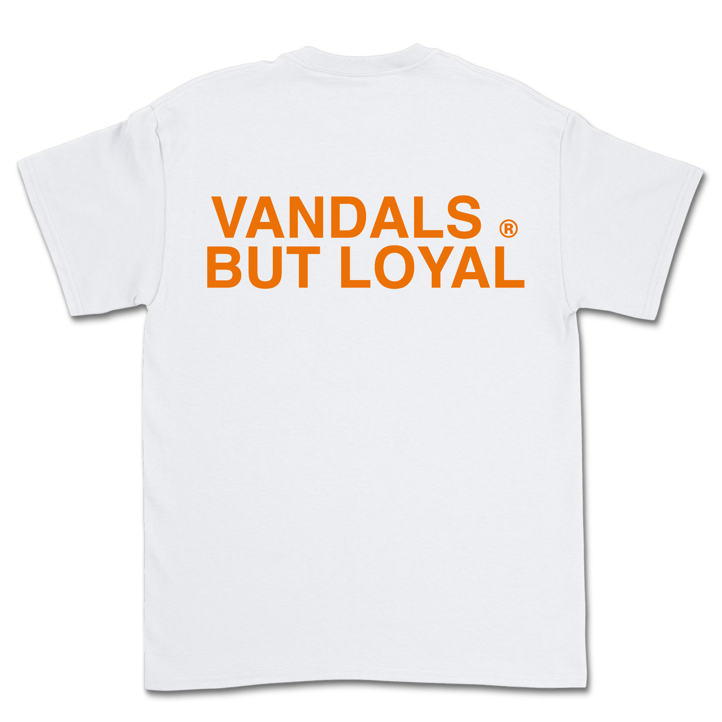 CAMISETA SUMMER 24