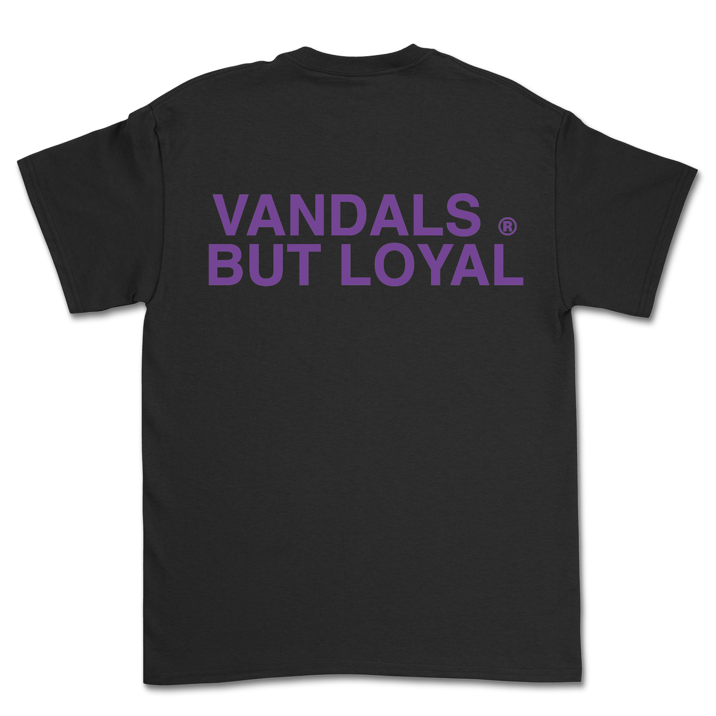 CAMISETA SUMMER 24