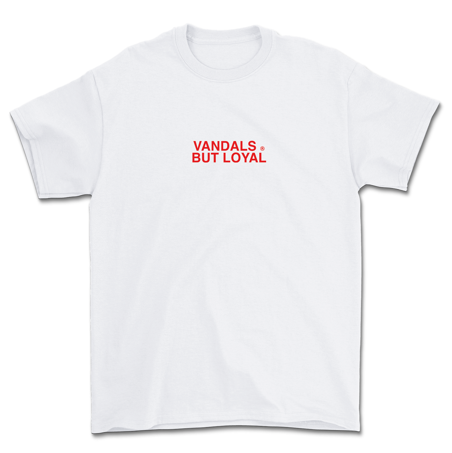 CAMISETA SUMMER 24