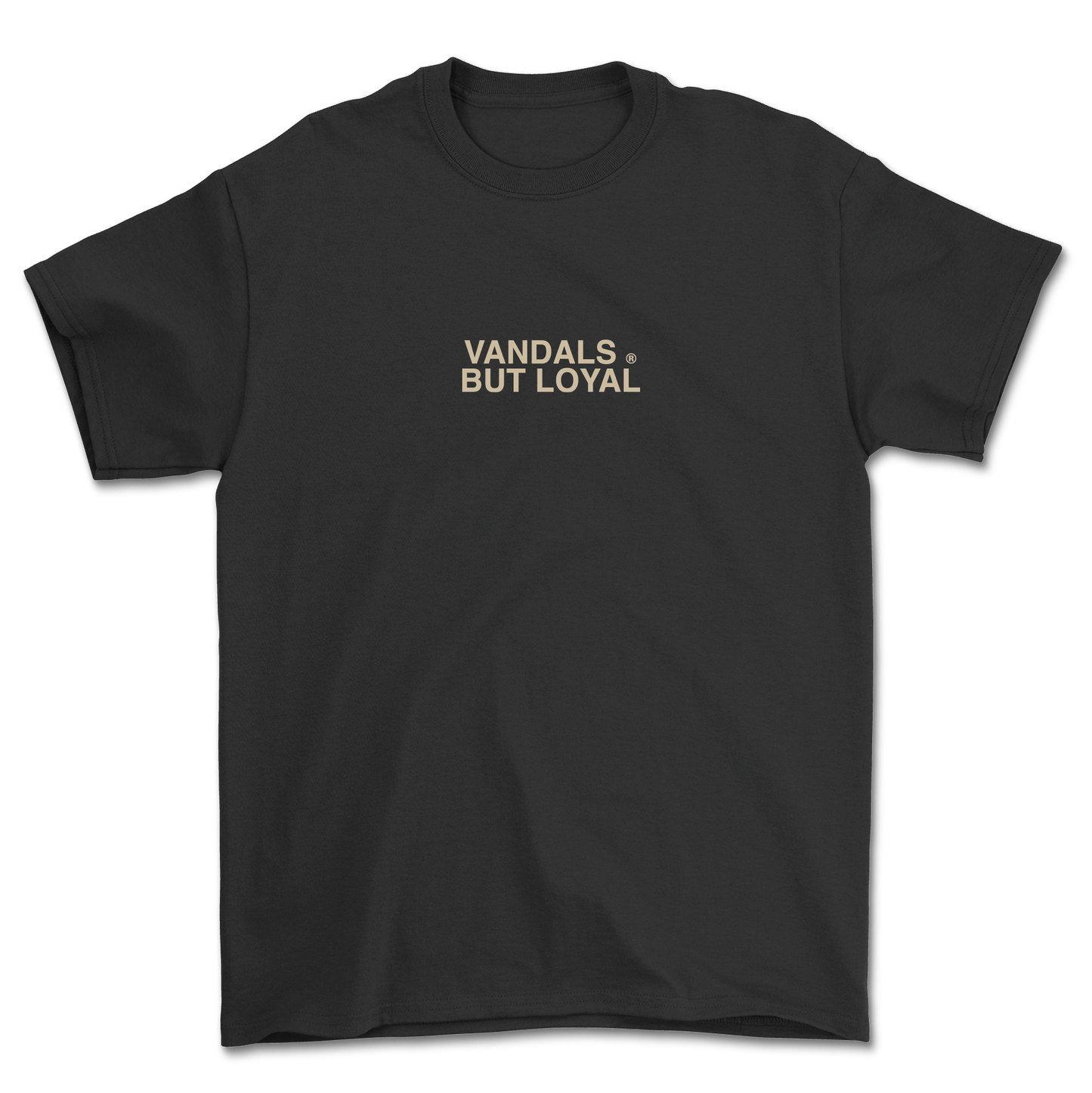 CAMISETA SUMMER 24