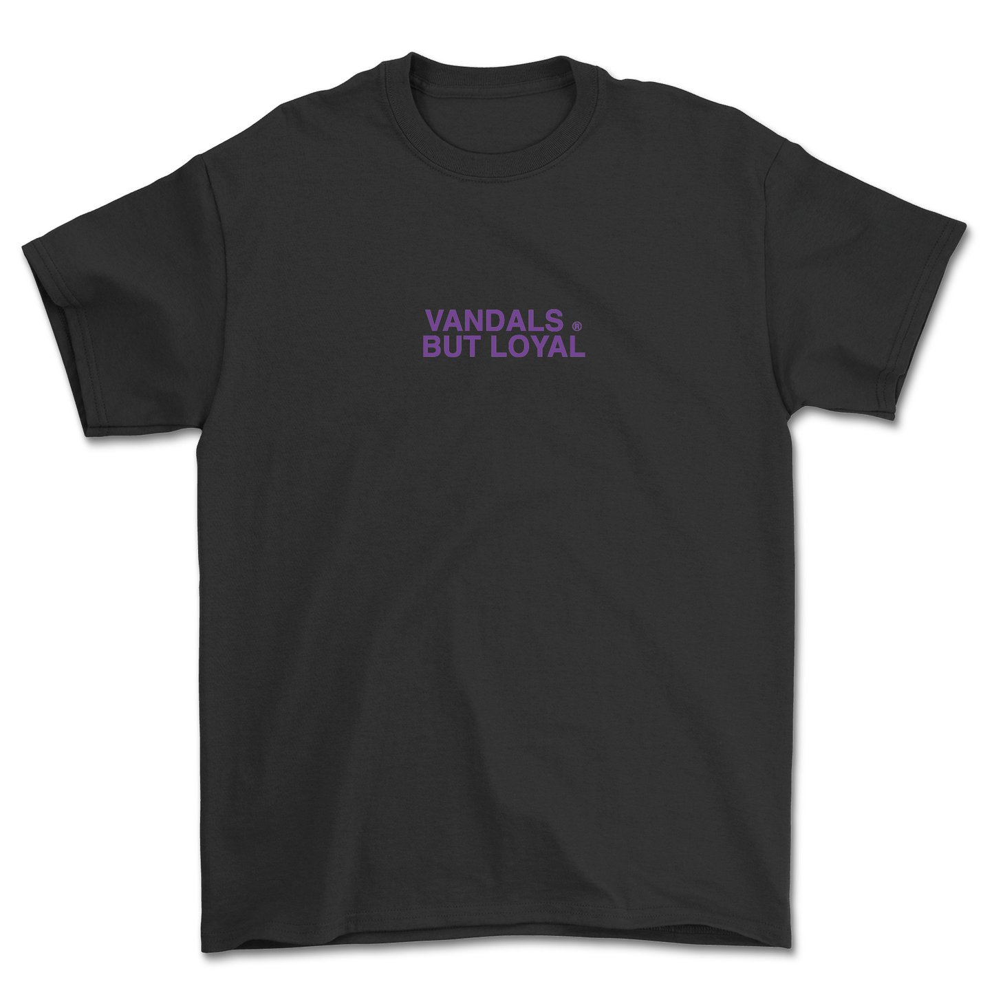 CAMISETA SUMMER 24