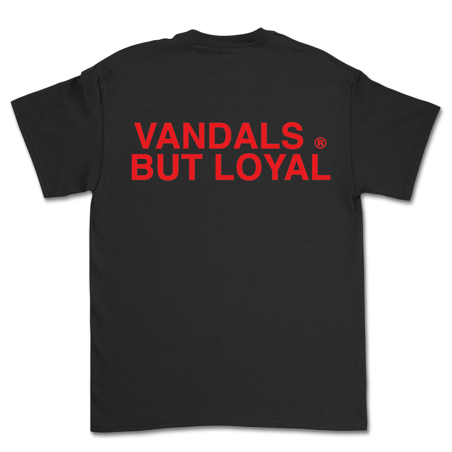 CAMISETA SUMMER 24