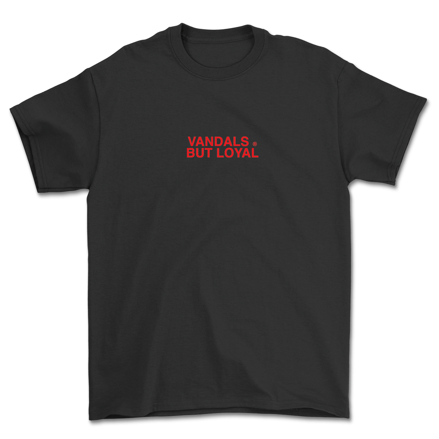 CAMISETA SUMMER 24