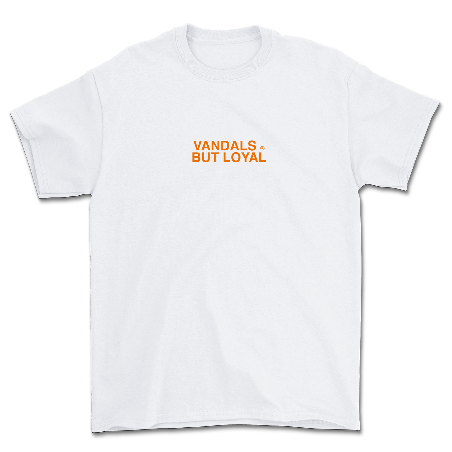 CAMISETA SUMMER 24