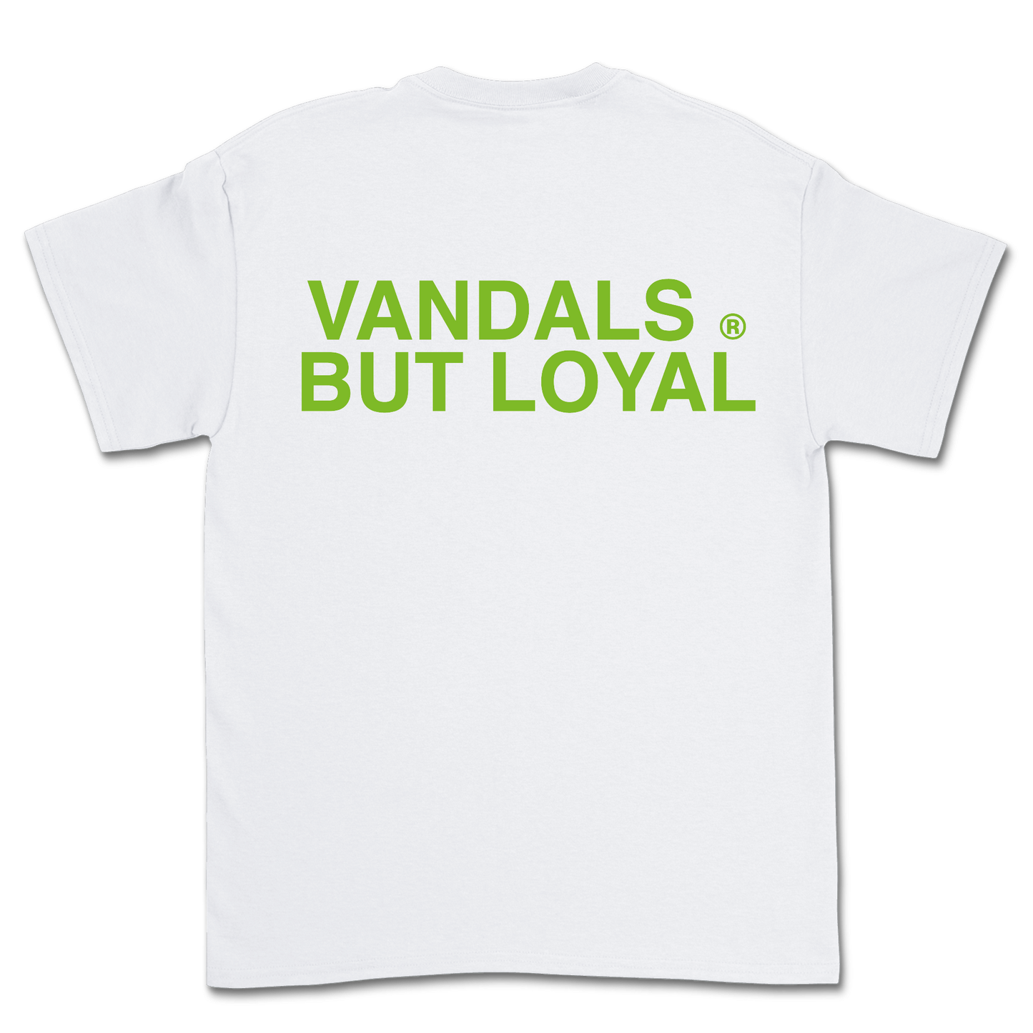 CAMISETA SUMMER 24