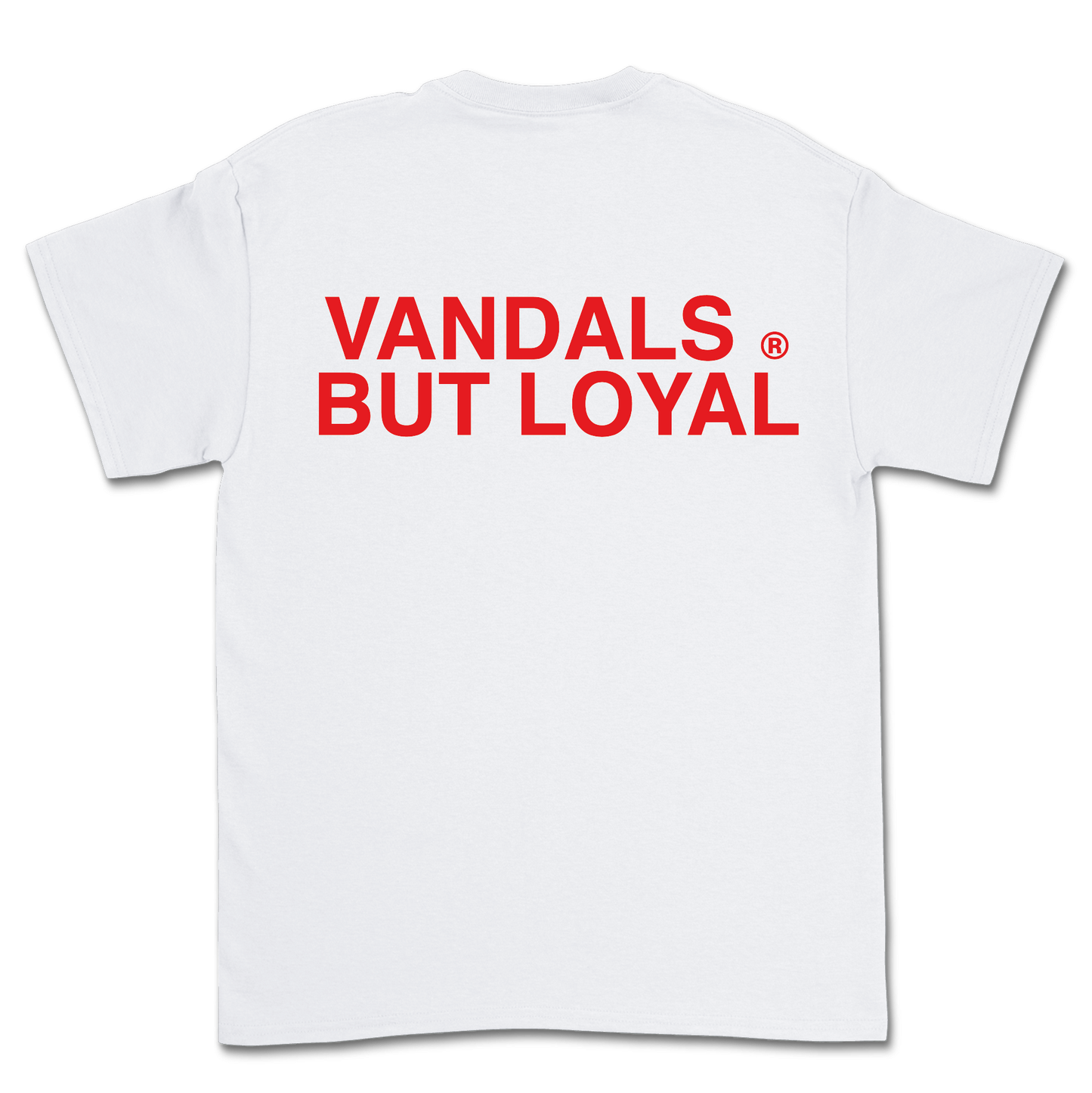 CAMISETA SUMMER 24